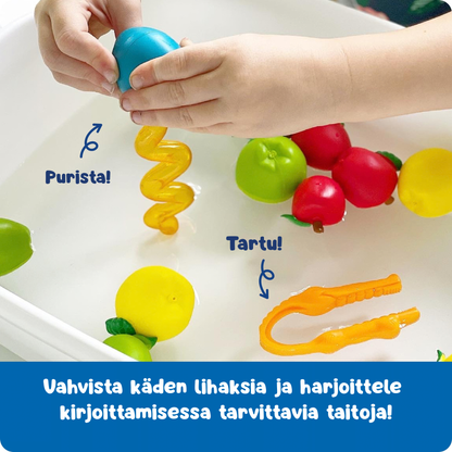 Aistileikin välinesarja